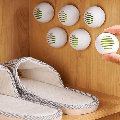 Finecare™ Shoe Deodoriser — 12 Pieces